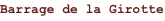 shapeimage_4_link_5